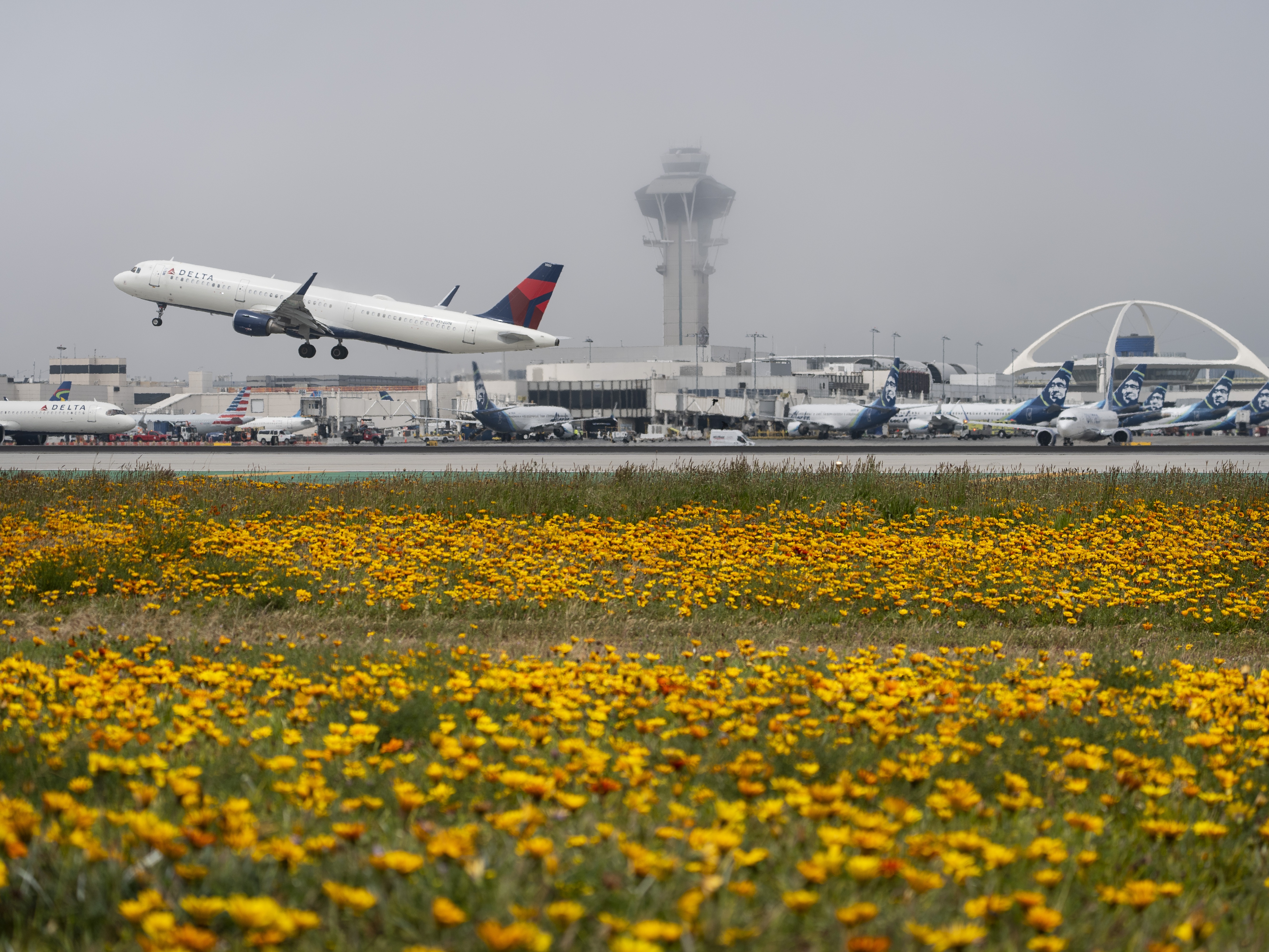 caption: A Delta Air Lines jet takes off at the Los Angeles International Airport in April. Ed Bastian, the airline's CEO, says the CrowdStrike outage has cost the carrier $500 million. 
