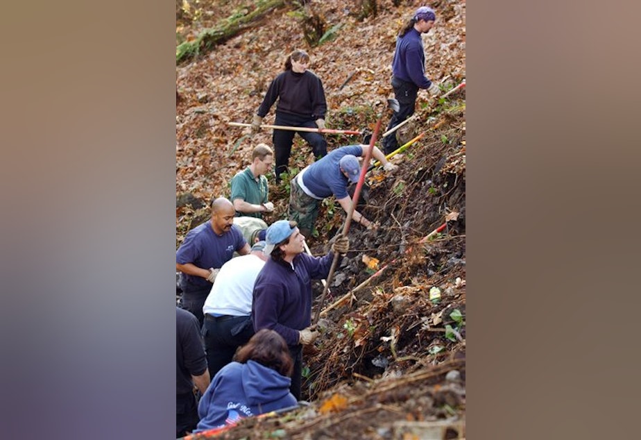 caption: In this Nov. 12, 2003 file photo, members of the Green River task force comb a hillside in an unincorporated area near Kent, Wash. Serial killer Gary Ridgway says he might be able to locate the bodies of some of his Green River victims who were never found. 