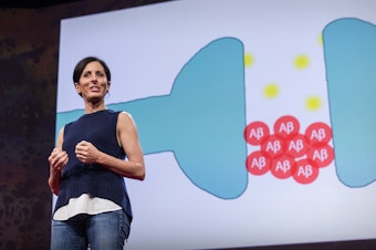 Lisa Genova on the TED Stage