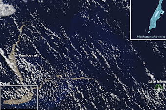 caption: NASA's Terra satellite captured the mass of floating pumice rock on Aug. 13.