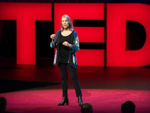 caption: Robin Steinberg on the TED stage.