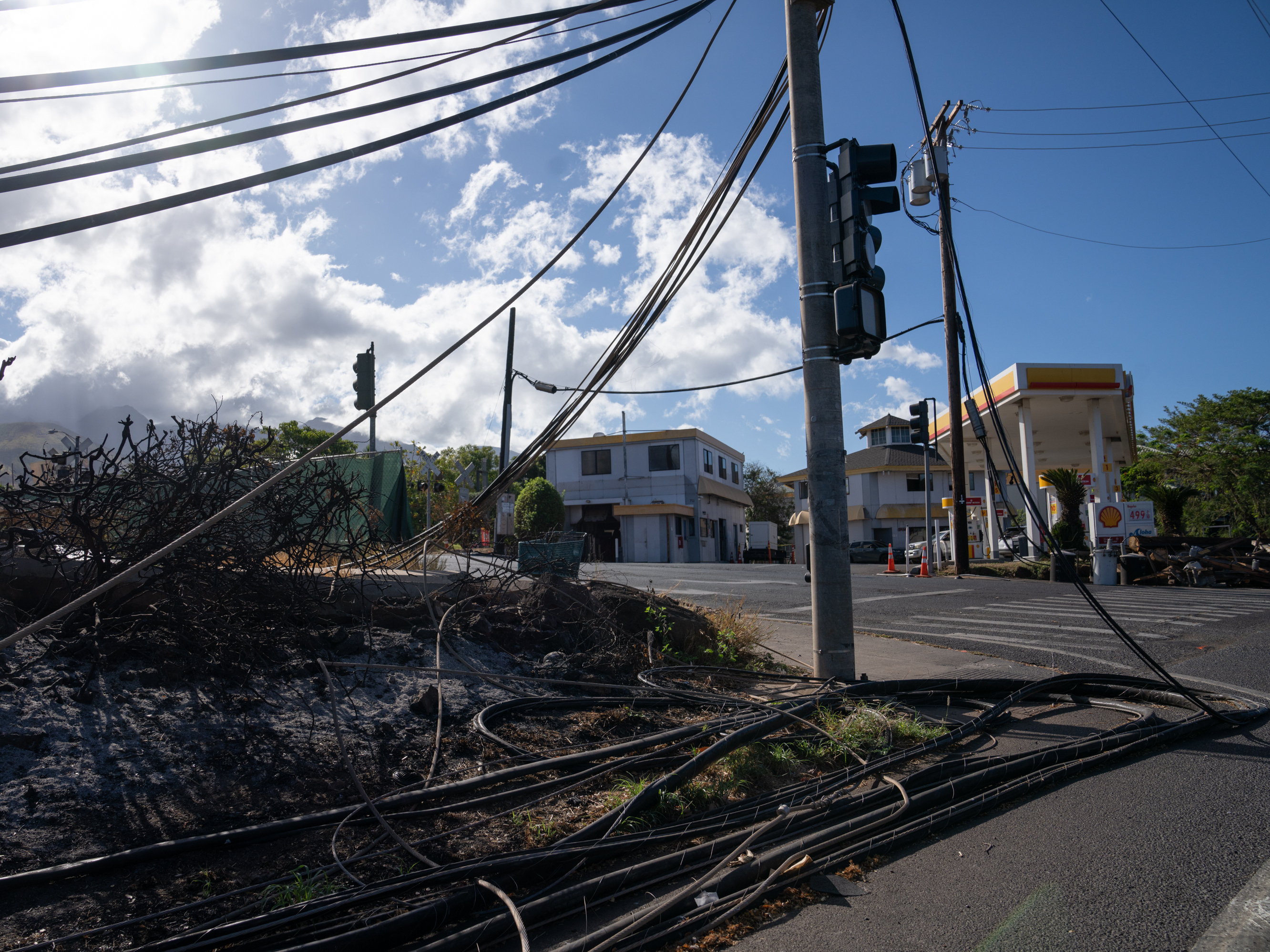 caption: Electrical wires and telephone poles were downed in Lahaina, Hawaii, after the deadly wildfires. Maui County has filed a lawsuit targeting Hawaiian Electric Company, or HECO, and several of its subsidiaries, seeking "punitive and exemplary damages" and to recoup costs and loss of revenue from the fires.