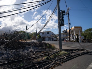 caption: Electrical wires and telephone poles were downed in Lahaina, Hawaii, after the deadly wildfires. Maui County has filed a lawsuit targeting Hawaiian Electric Company, or HECO, and several of its subsidiaries, seeking "punitive and exemplary damages" and to recoup costs and loss of revenue from the fires.