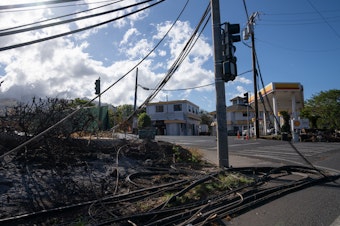 caption: Electrical wires and telephone poles were downed in Lahaina, Hawaii, after the deadly wildfires. Maui County has filed a lawsuit targeting Hawaiian Electric Company, or HECO, and several of its subsidiaries, seeking "punitive and exemplary damages" and to recoup costs and loss of revenue from the fires.