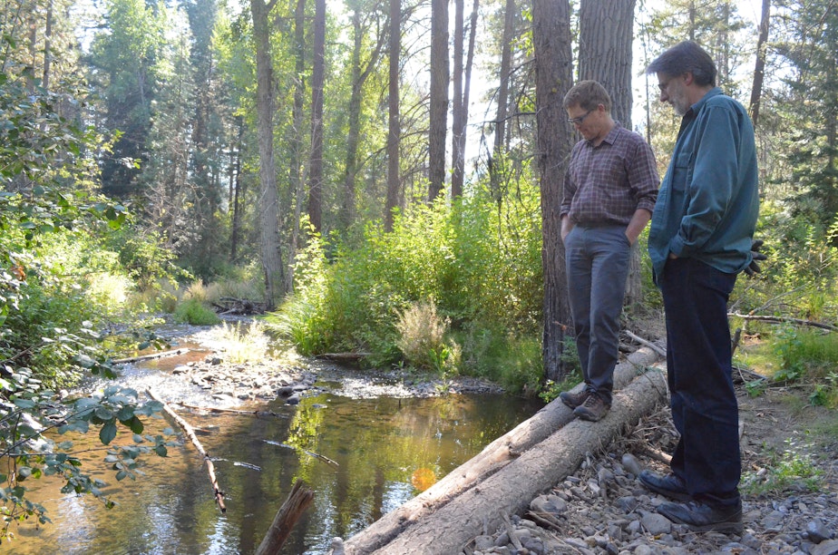 caption: Scott Nicolai, a Yakama Nation habitat biologist, and Dave Morrow, a local landowner, observe juvenile fish in the stream they restored together.