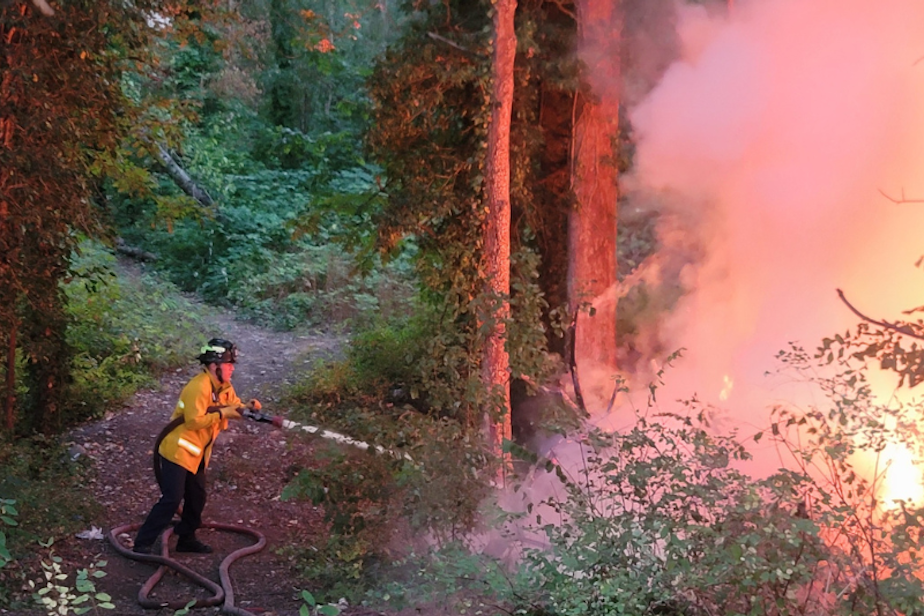 caption: A West Pierce Fire and Rescue firefighter tackles a brush fire in summer 2023. The fire district covers Lakewood, University Place, and Steilacoom, and says that by July 10, it had responded to nearly the same number of brush fires as it did in all of 2022. 