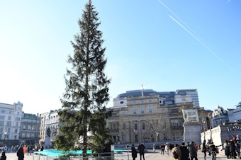 caption: A Norwegian spruce stands at the center of London's Trafalgar Square on Wednesday. Many are calling this year's tree — a gift from Oslo — meager and sparse.