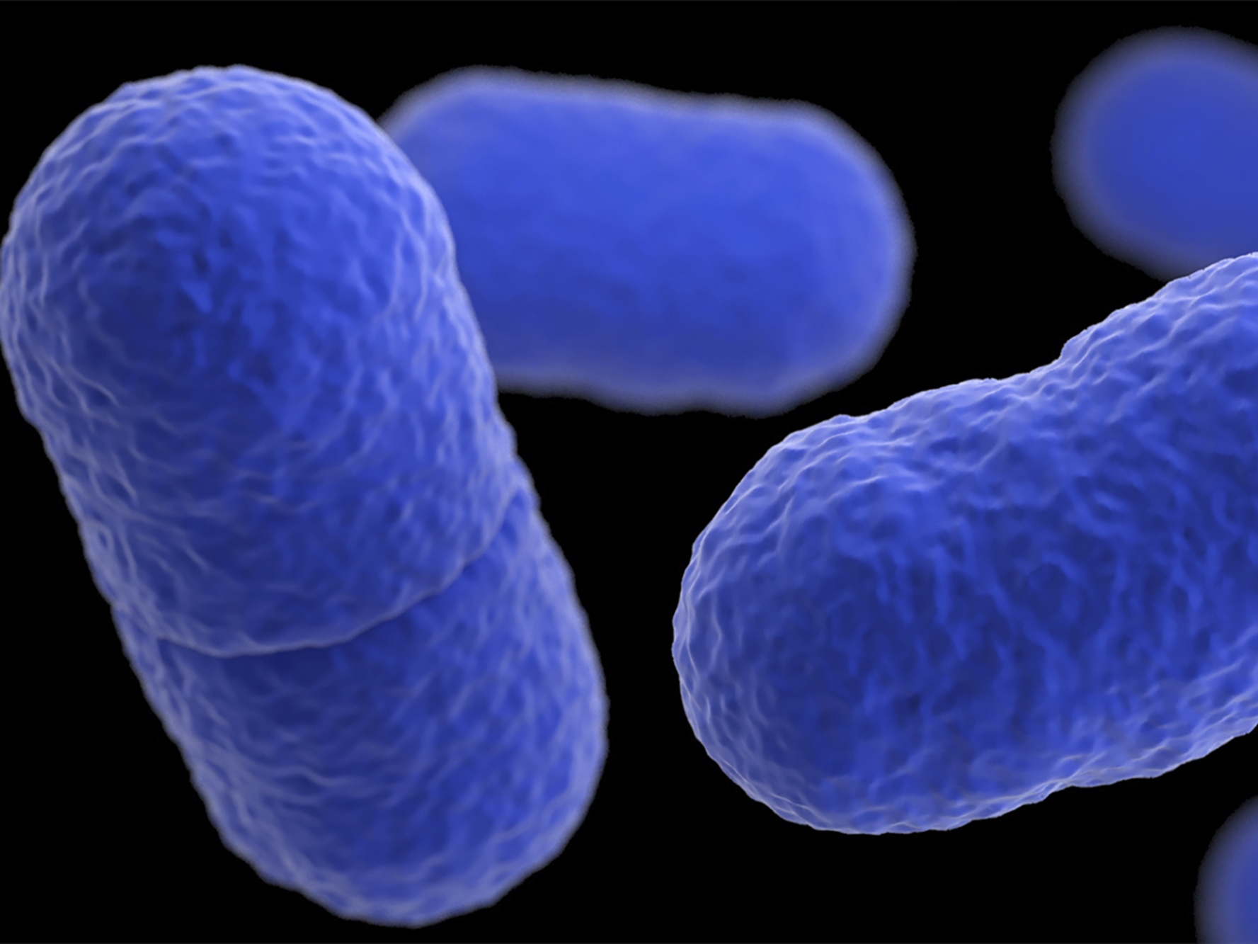 caption: A listeria outbreak linked to prepared pasta products has killed six people and sickened over two dozen across 18 states, federal health officials say.