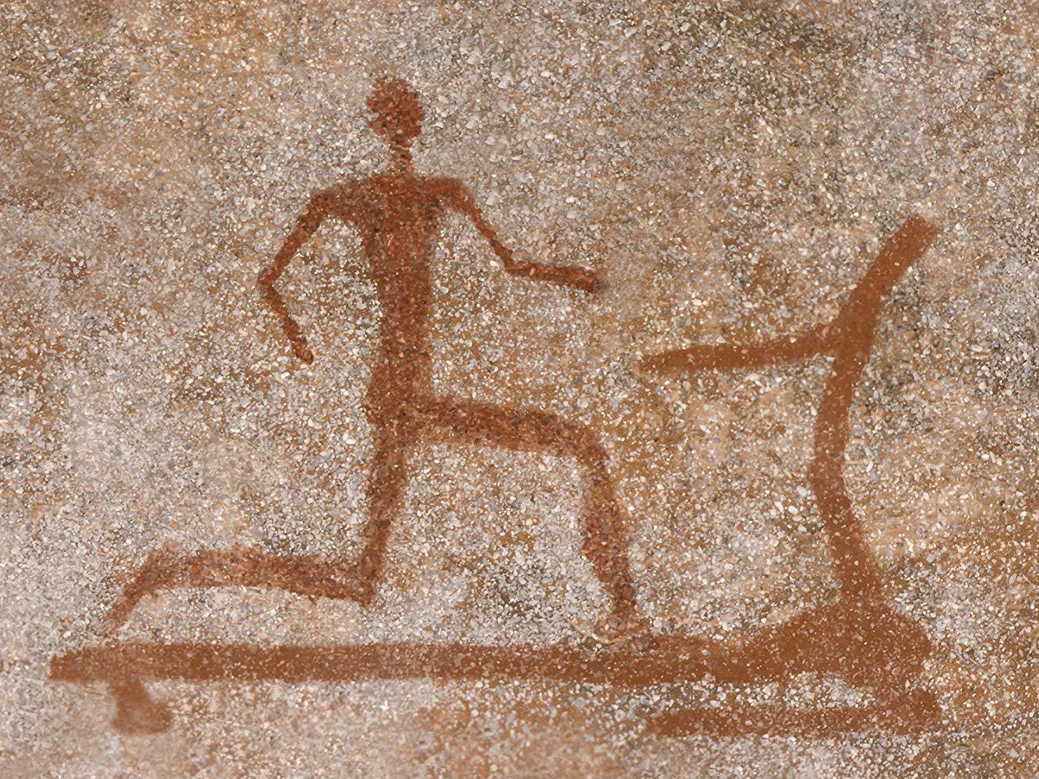 caption: <em>Exercised: Why Something We Never Evolved to Do Is Healthy and Rewarding,</em> by Daniel E. Lieberman