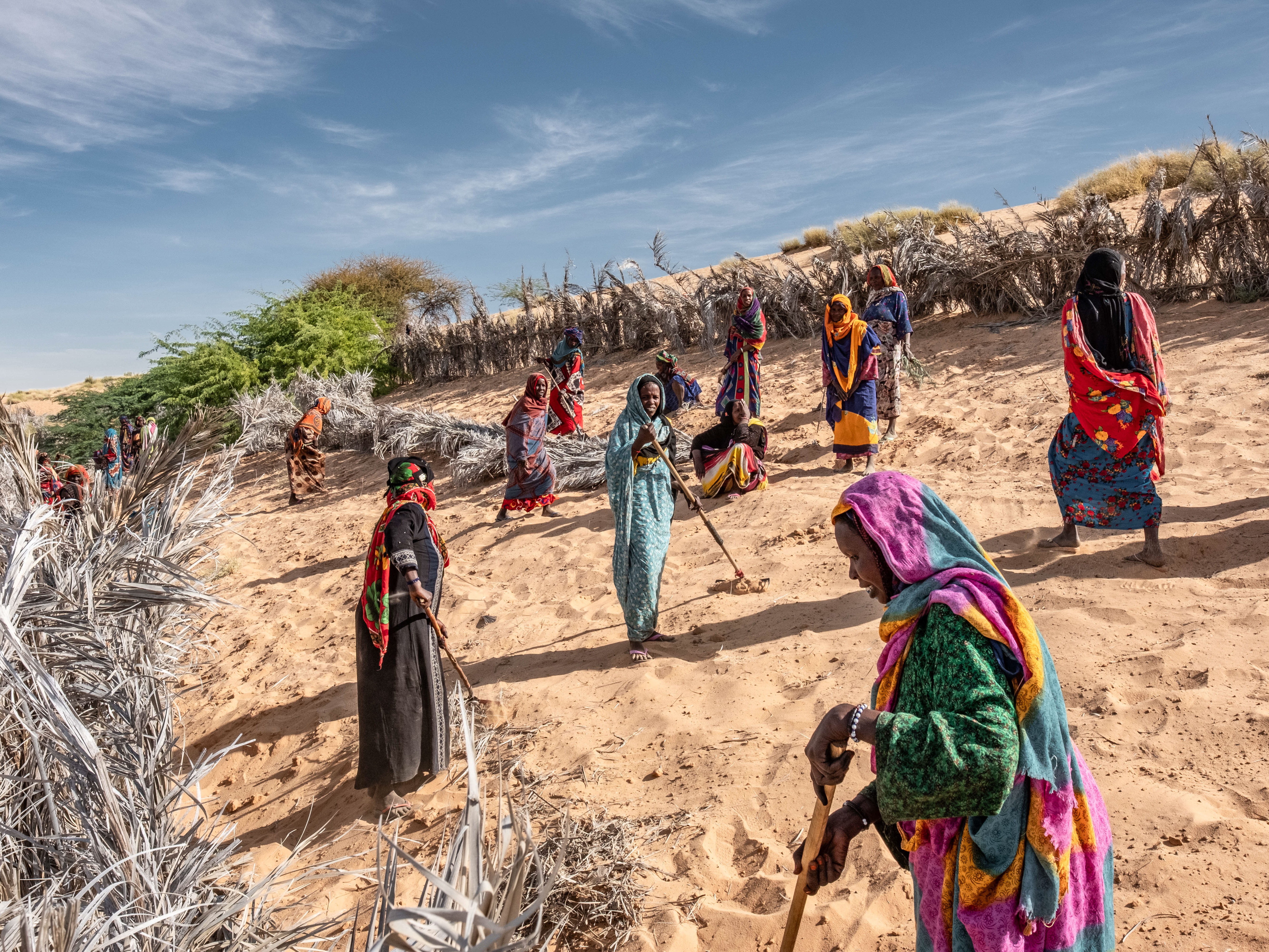 caption: Women install barricades to halt the shifting dunes that threaten to swamp the oasis outside their village of Kaou, Chad. The oasis feeds their only source of farmland, but oases in the region have been shrinking steadily, elders say, in the face of hotter temperatures and stronger winds. The dune fixing is part of a broader intervention to support farming known as the Great Green Wall initiative.