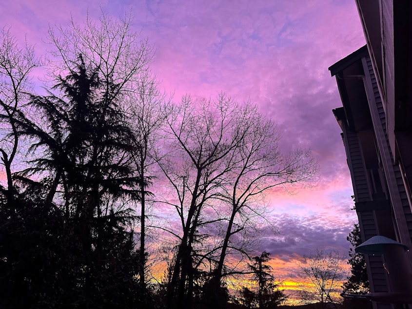 caption: The sunrise, seen here from Bellevue, was especially colorful on the morning of Jan. 29, 2024.