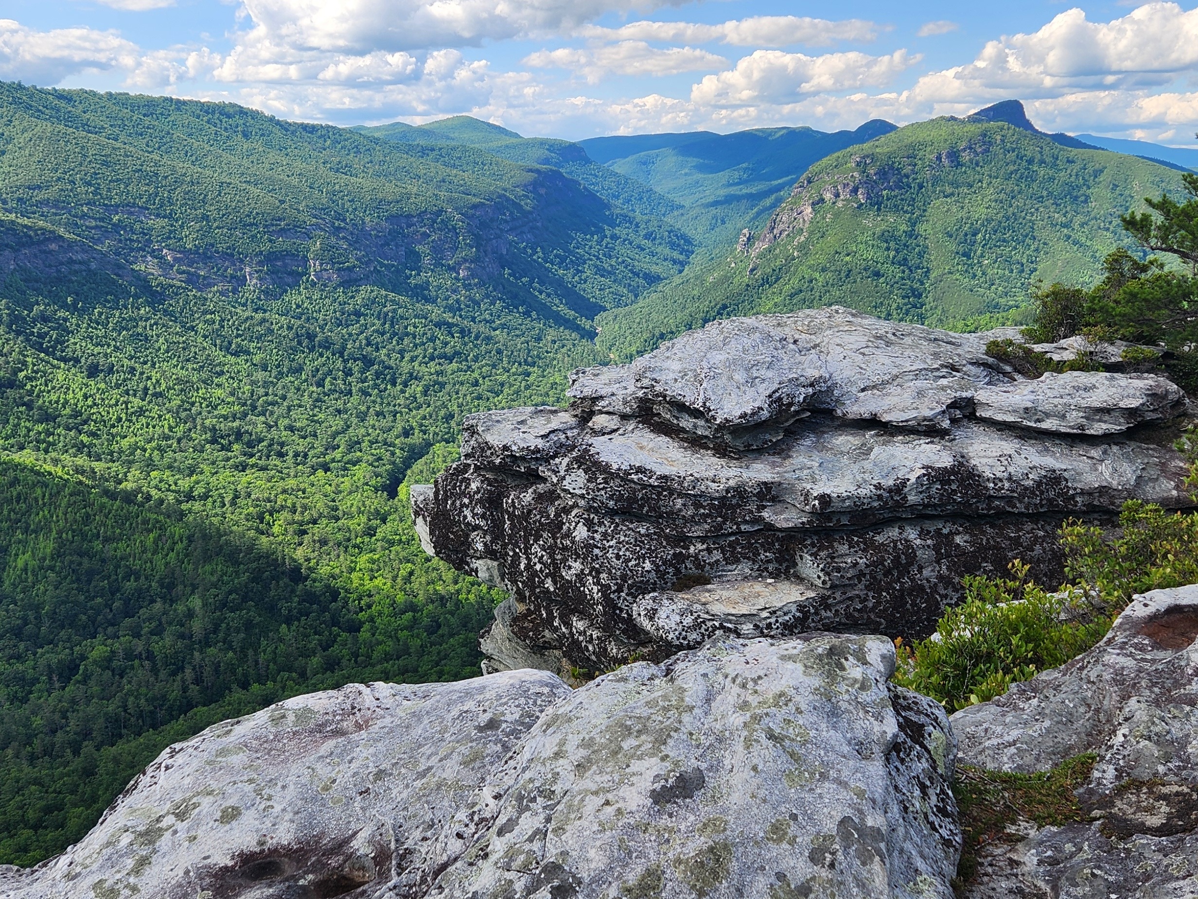 caption:  Linville Gorge is sometimes called the Grand Canyon of the East.  It sprawls over 12,000 rugged acres on U.S. Forest Service land in western Tennessee, but ssome trails are accessible enough for a quick day hike.
