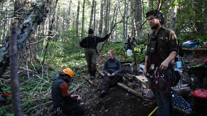 caption: Josh Eng, right, prepares to climb up a fir tree with fellow protesters (from left) Brian Garcia, Shannon Wilson and Kate Armstrong. The group is protesting a plan to log the site that was devised by professors. 