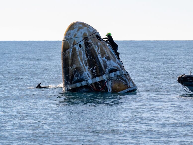 caption: In this handout image provided by NASA, support teams work on the SpaceX Dragon spacecraft shortly after it landed with NASA astronauts Nick Hague, Suni Williams and Butch Wilmore, and Roscosmos cosmonaut Aleksandr Gorbunov onboard on March 18, 2025, off the coast of Florida.