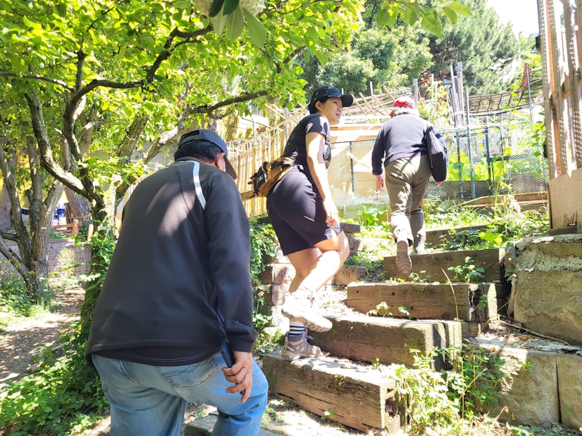 caption: Kae Li Deng and others follow Yuying Chou up to her plot at the Danny Woo Community Garden.