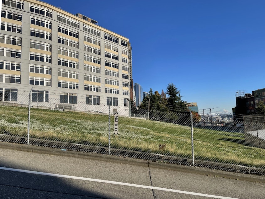 caption: Potential downtown school site in Seattle's Belltown neighborhood