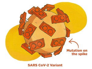 Why are scientists so concerned about some of the new coronavirus variants? We take a look at how some of the mutations give SARS CoV-2 an advantage in infecting us.