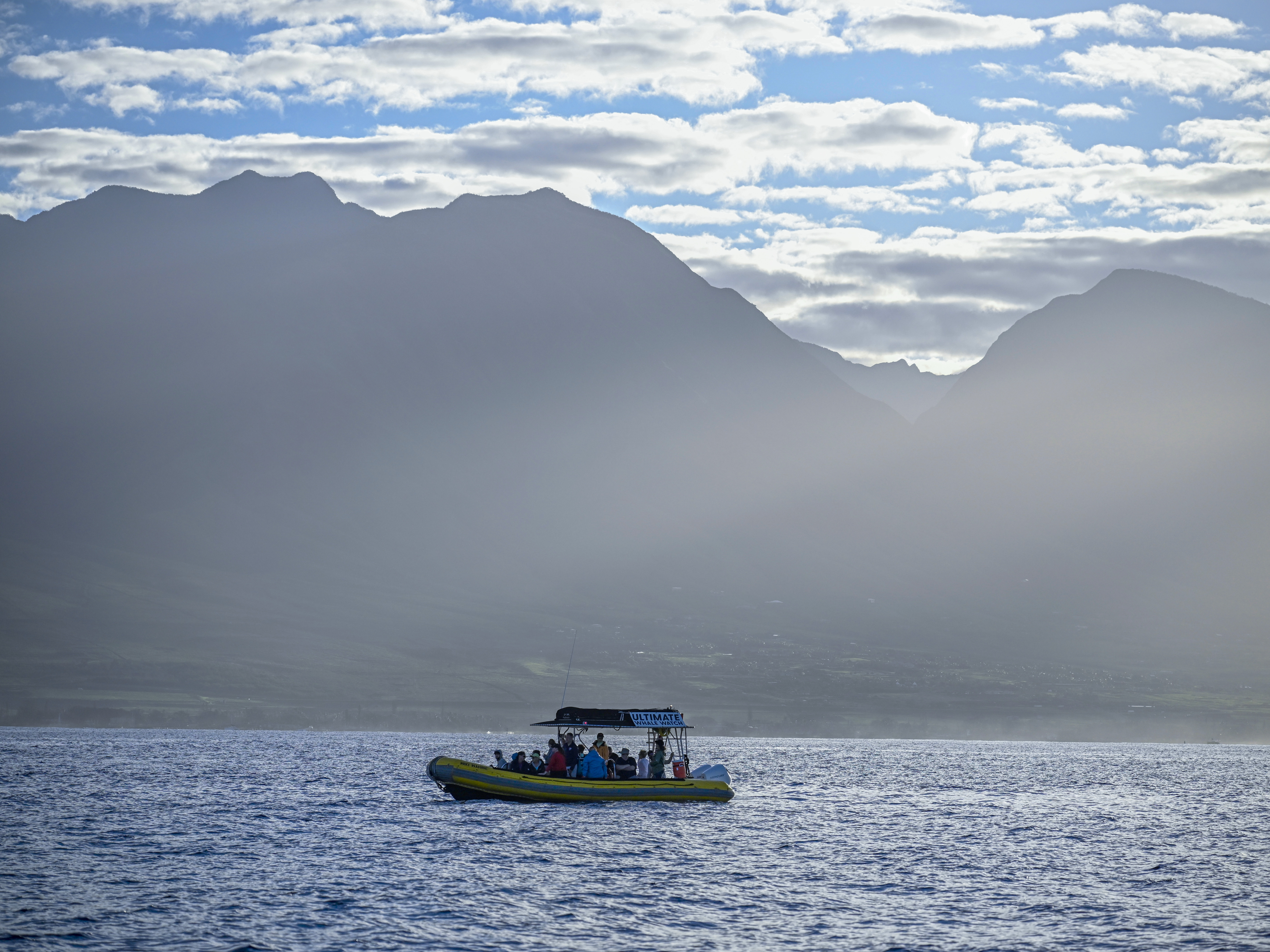 caption: A whale watch tour embarks on a voyage with tourists visiting the island of Maui in January.