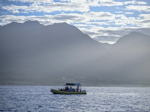 caption: A whale watch tour embarks on a voyage with tourists visiting the island of Maui in January.