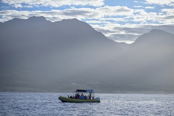 caption: A whale watch tour embarks on a voyage with tourists visiting the island of Maui in January.