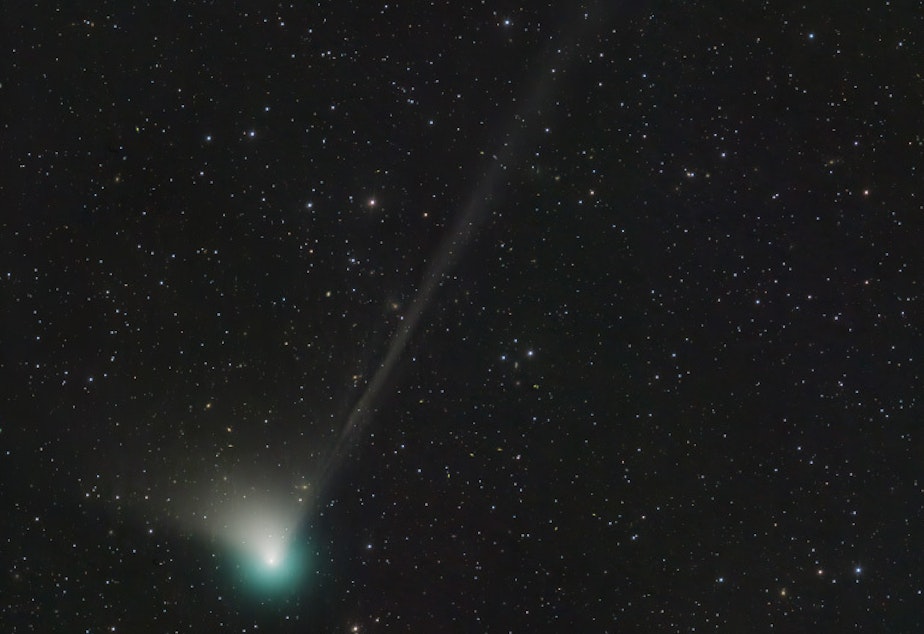 caption: Comet C/2022 E3 (ZTF) was discovered by astronomers using the wide-field survey camera at the Zwicky Transient Facility in March 2022.