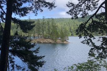 A view of Moran State Park on Orcas Island