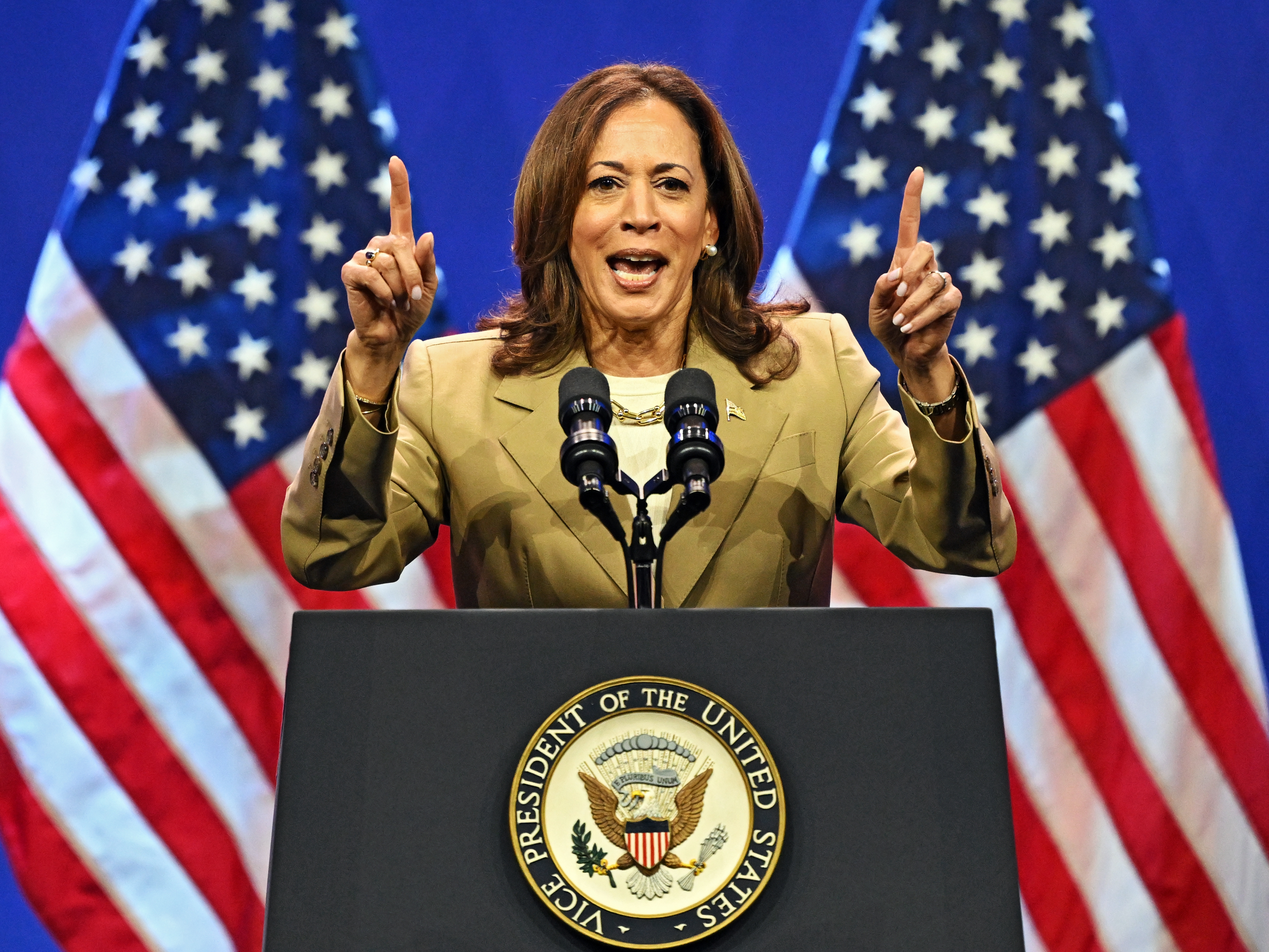 caption: Democratic lawmakers, organizers, and potential rivals rallied around Vice President Harris’ candidacy for president.