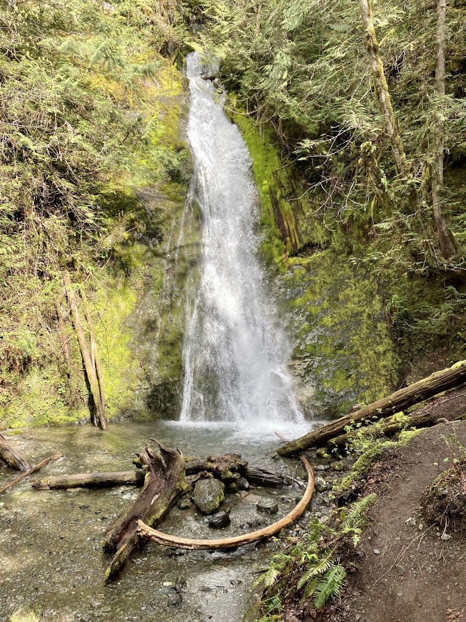 caption: Madison Falls near Port Angeles