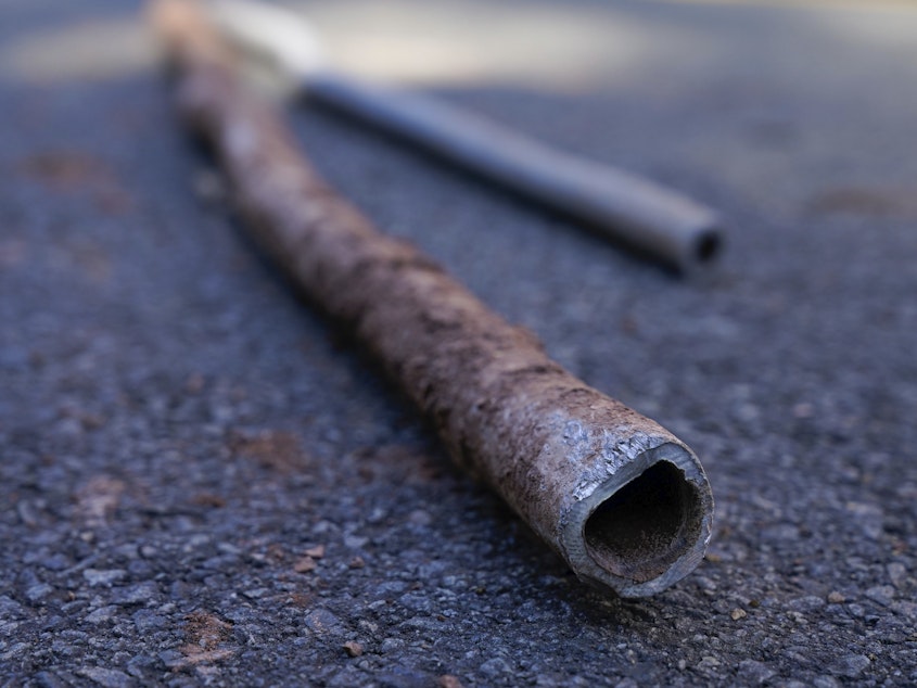 caption: Lead water pipes pulled from underneath the street in Newark, N.J., in 2021.