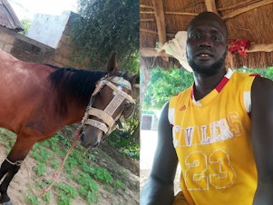 caption: Bassirou Ndao's horse ran away. He needed the animal for his farmwork and couldn't afford a replacement. Posting a photo on the Trouvés ou Perdus Facebook page led to an equine reunion.