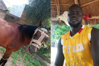 caption: Bassirou Ndao's horse ran away. He needed the animal for his farmwork and couldn't afford a replacement. Posting a photo on the Trouvés ou Perdus Facebook page led to an equine reunion.