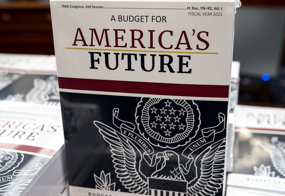 caption: President Trump's proposed budget projects federal deficits until 2035.