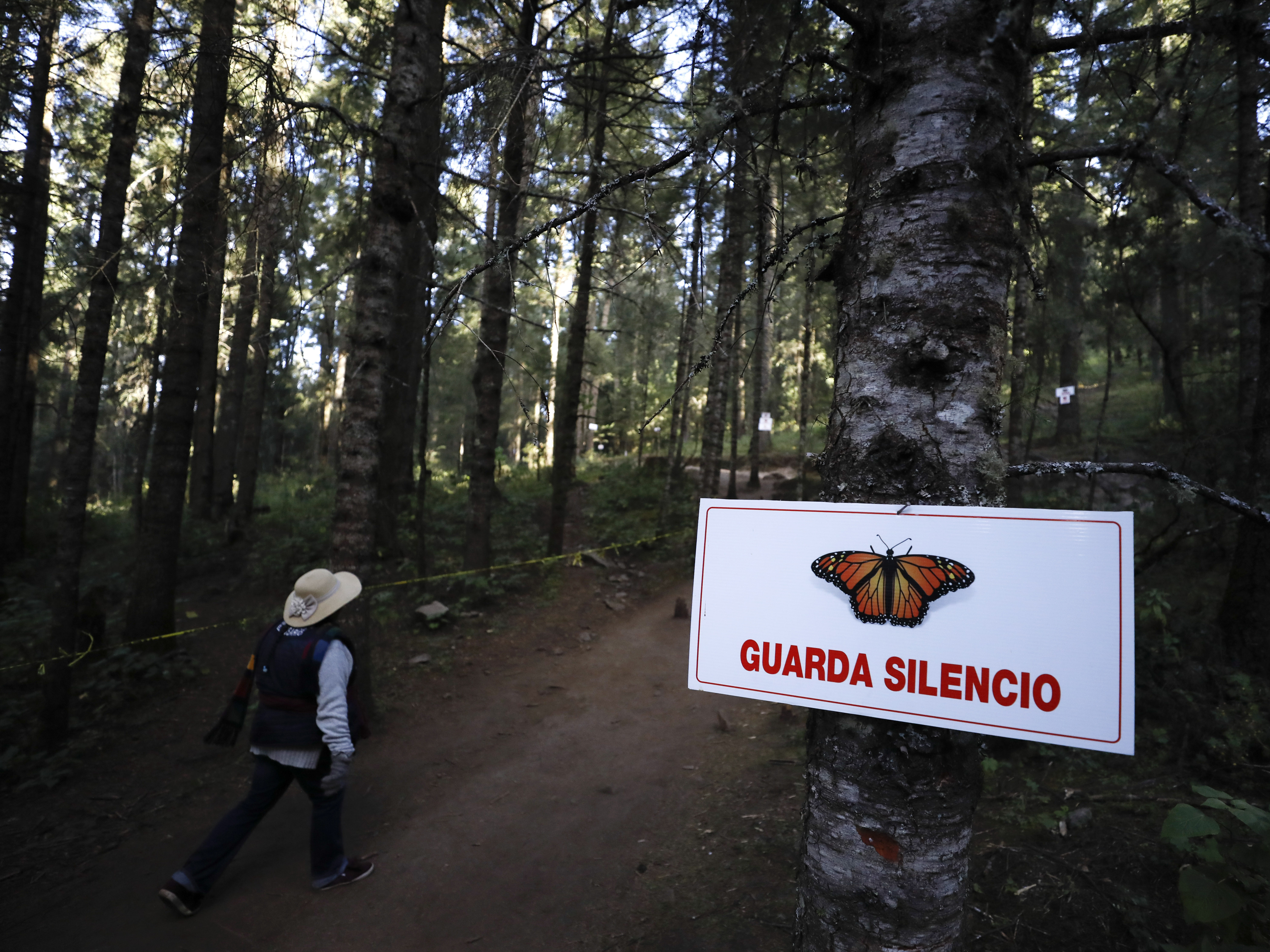 caption: A guide walks past a sign asking for silence near the winter home of monarch butterflies in El Rosario reserve near Ocampo, Michoacán, in Mexico on Friday.