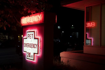 caption: Emerald City Emergency Clinic on Wednesday, October 9, 2019. 