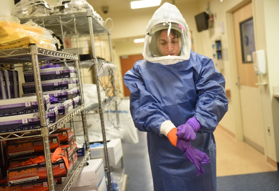 caption: Hospital Epidemiologist Dr. Tara Palmore dons personal protective equipment (PPE) at the National Institutes of Health Clinical Center in Bethesda, Md., in 2015.