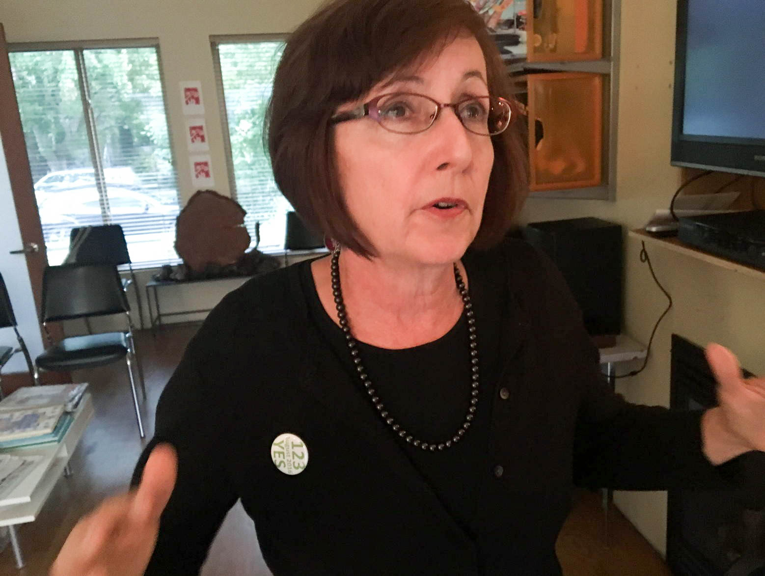 caption: Kate Martin, main booster of Initiative 123, the bid to build an elevated park over the waterfront, at her home on Tuesday night after learning the results. Her idea was trounced by 81 percent of voters. See below for more election photos.