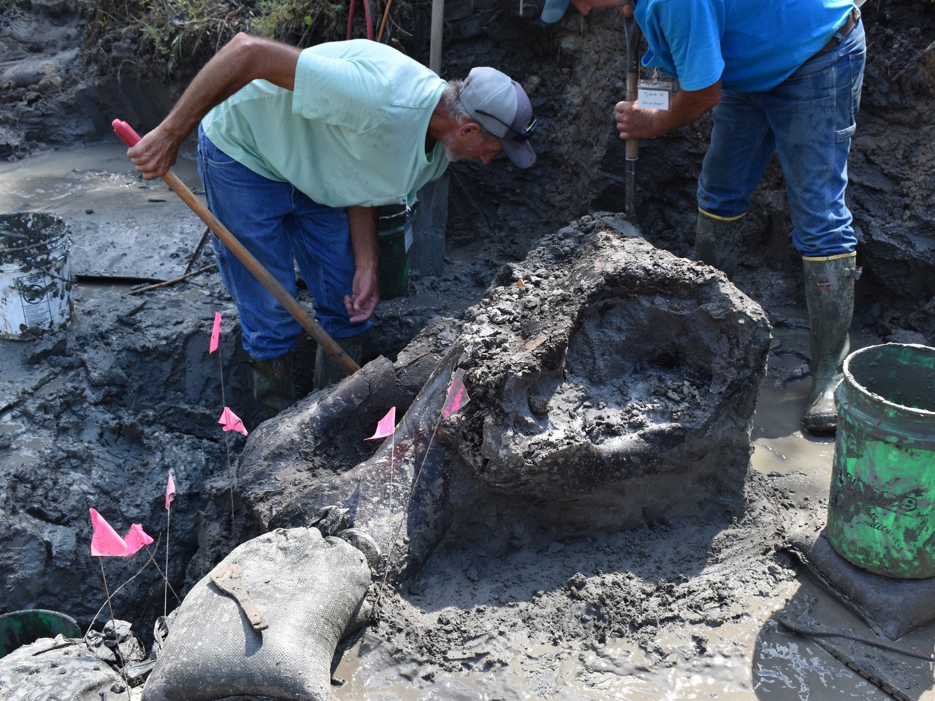 caption:  Excavators unearth a 13,600-year-old mastodon skull from an Iowa creek.