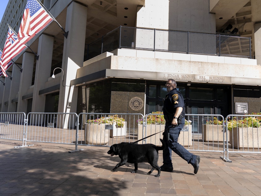 caption: A Federal Bureau of Investigation police officer walks with his working dog outside Federal Bureau of Investigation building headquarters in Washington, Saturday, Aug. 13, 2022.