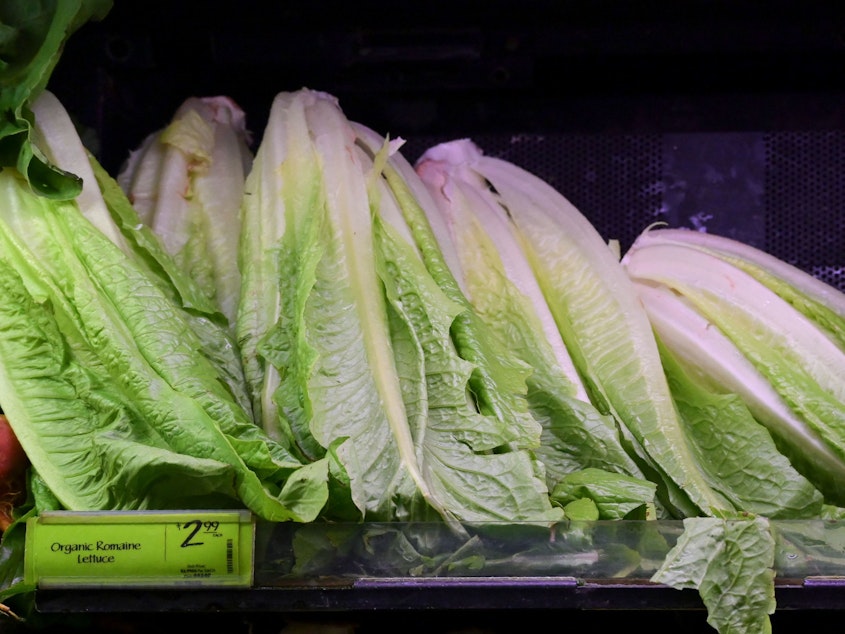 caption: The Centers for Disease Control and Prevention traced an ongoing E. coli outbreak to the Central Coastal region of California. If you're sure your lettuce was grown elsewhere, you can eat it.
