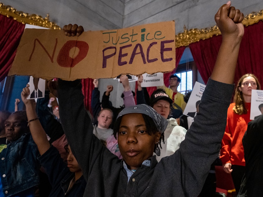 caption: Protesters calling for gun reform laws and showing support for the three Democratic representatives. Rep. Justin Jones and Justin J. Pearson were ultimately expelled, but Rep. Gloria Johnson was saved by one vote. The two legislators were restored to the their seats. The three lawmakers were at the White House on Monday.