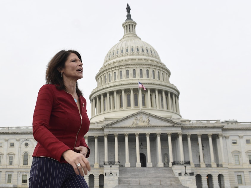 caption: Illinois Rep. Cheri Bustos, who is running the House Democrats' 2020 campaign operation, tell NPR: "There couldn't be a clearer differentiation between what we are fighting for and what they are fighting against."