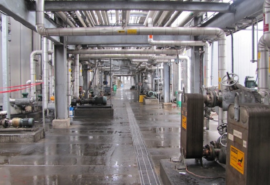 caption: The Imperium Renewables biodiesel facility in Grays Harbor, Washington, uses canola and other plant oils grown in Washington and Canada to produce clean diesel.