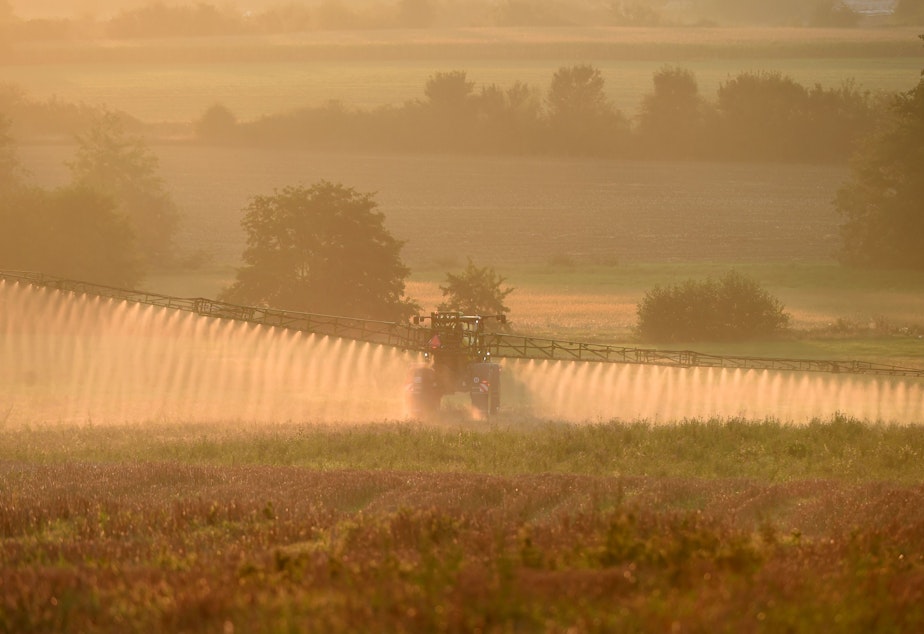 caption: Bayer says a settlement worth more than $10 billion will resolve most of the roughly 125,000 claims the company currently faces over its Roundup product. Here, a farmer sprays the glyphosate herbicide in northwestern France in September.