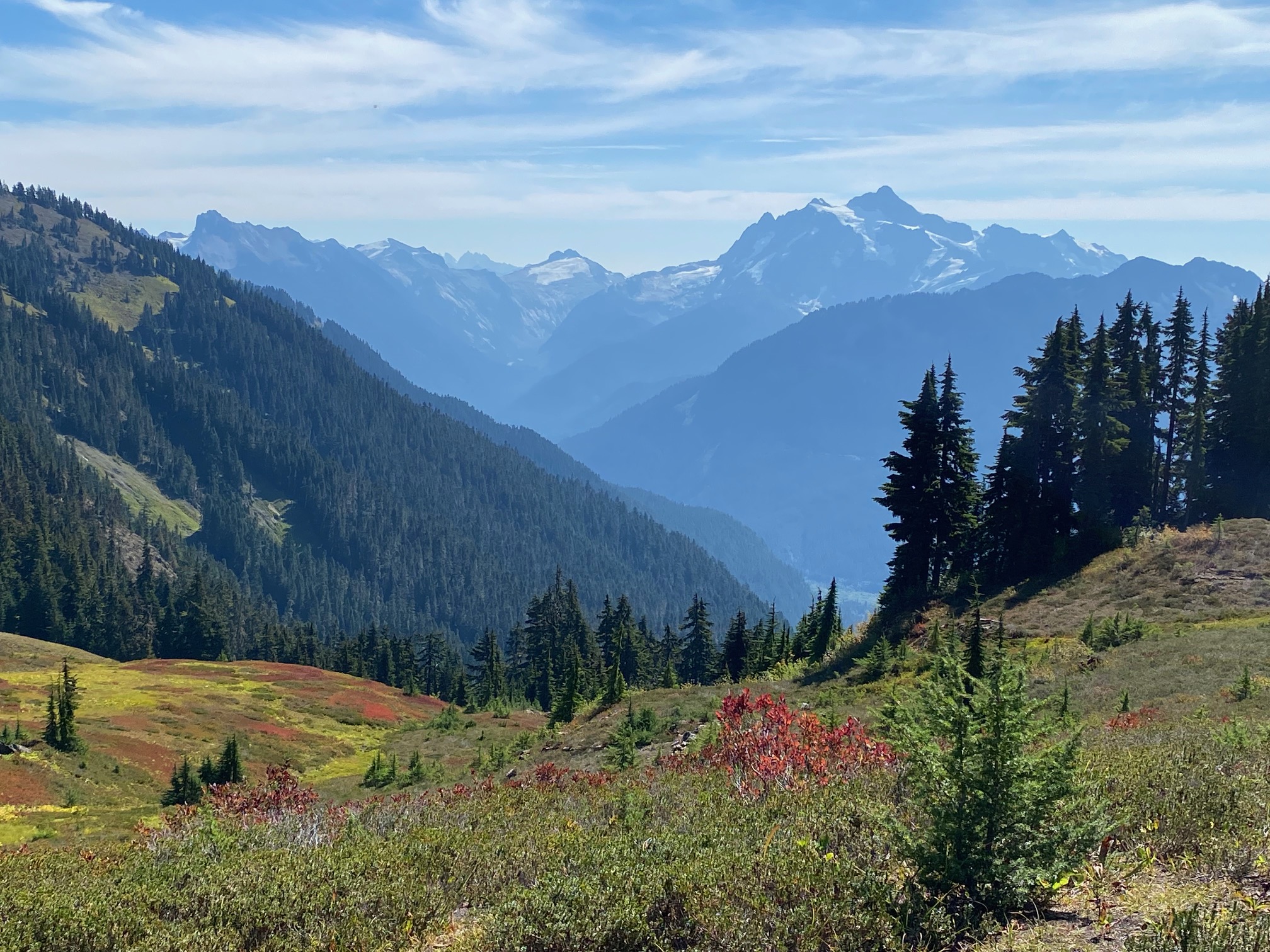caption: A view of the North Cascades from Excelsior Pass Trail in Whatcom County, Washington.