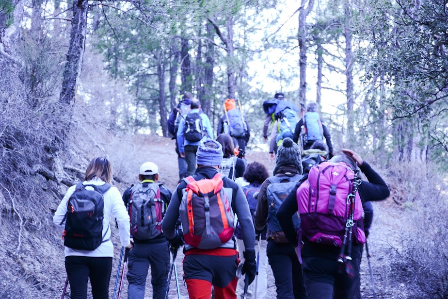 caption: Crowd of people hiking in the woods