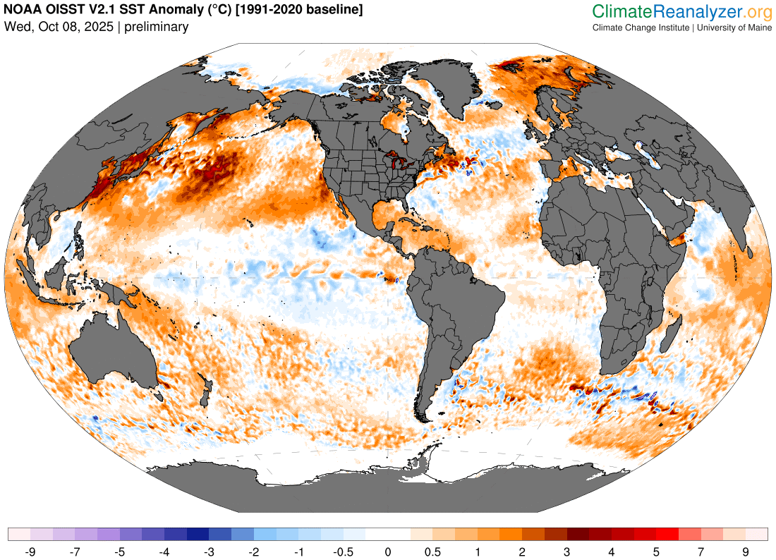 caption: A watery heat wave covered millions of square miles of the North Pacific Ocean on Oct. 8, 2025.