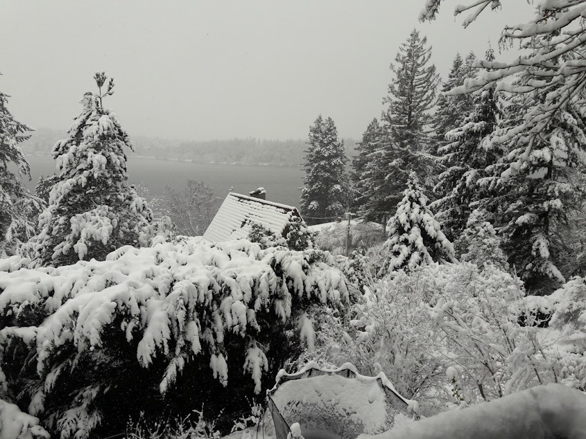 caption: View of Seward Park from Mercer Island on Saturday, Feb. 9, 2019.