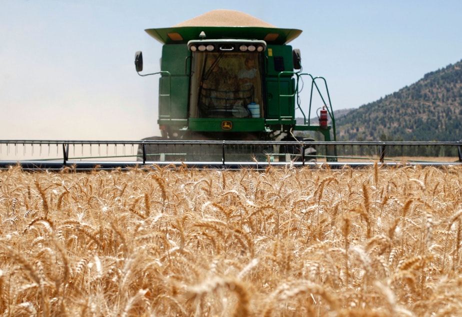 caption: A Combine harvesting machine reaps wheat in a field of the Hula valley near the town of Kiryat Shmona in the north of Israel on May 22, 2022. Wheat prices have soared in recent months, driven by the war in Ukraine and a crippling heat wave in India.