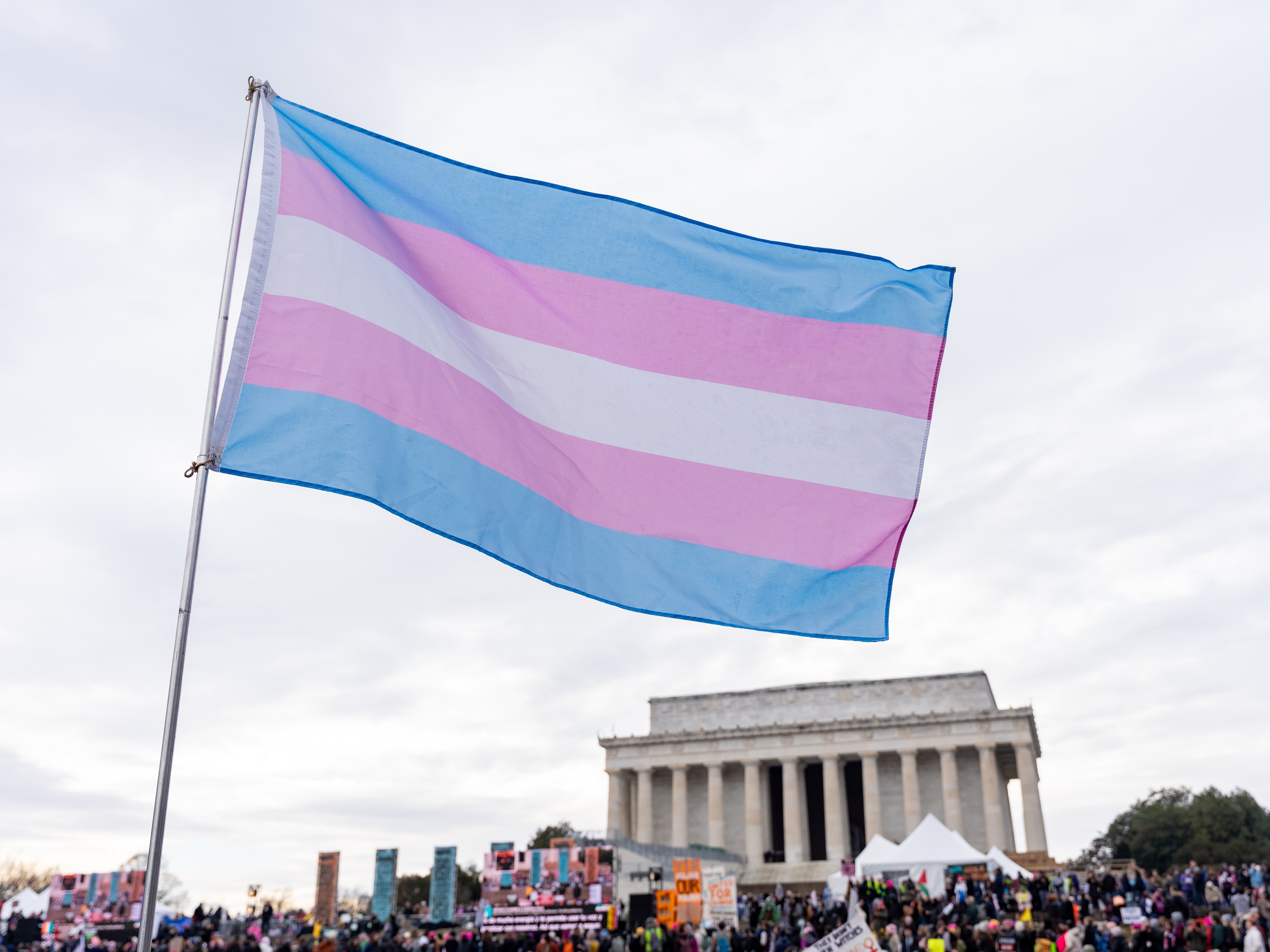 caption: A person waves a transgender pride flag during the People's March and rally to the Lincoln Memorial in Washington, D.C., United States, on Jan. 18.