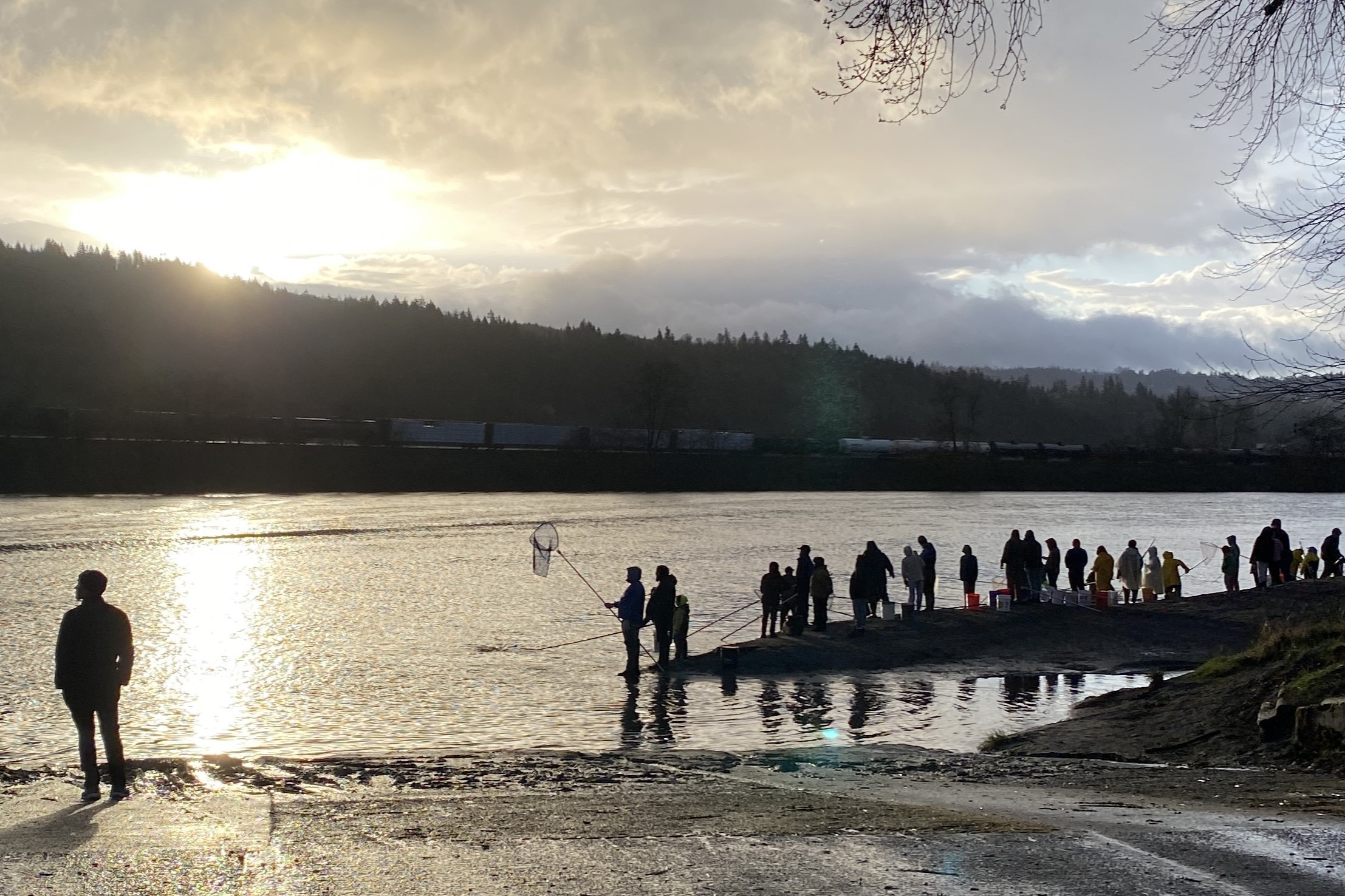 caption: Dipnetters start to skim the Cowlitz River in Longview, Washington, for eulachon or Columbia smelt just after the 8 a.m. opening of the fishery on March 15, 2025.